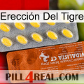 Erección Del Tigre 42